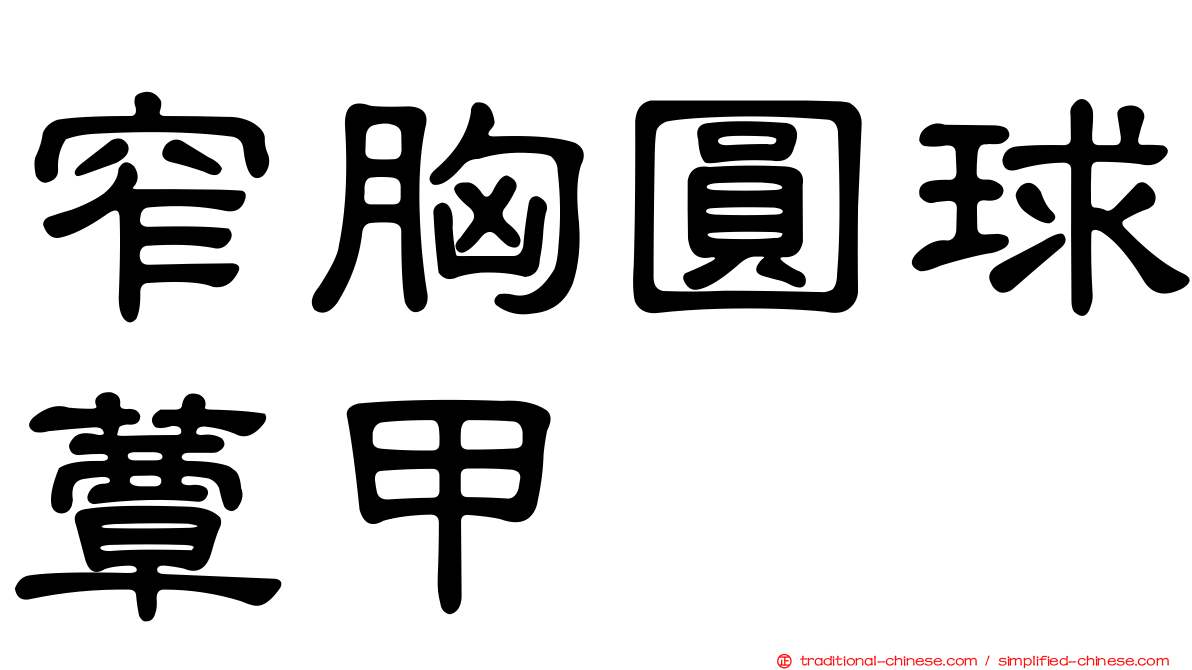 窄胸圓球蕈甲