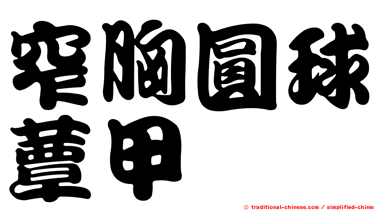 窄胸圓球蕈甲