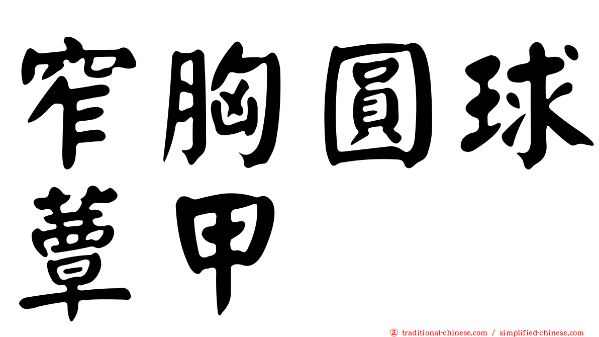 窄胸圓球蕈甲