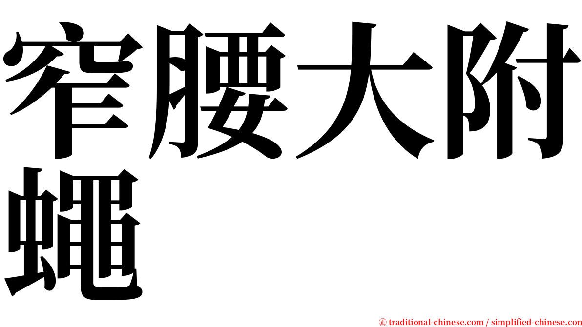 窄腰大附蠅 serif font