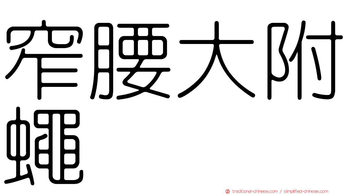窄腰大附蠅