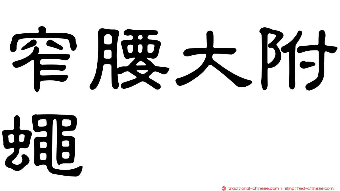 窄腰大附蠅