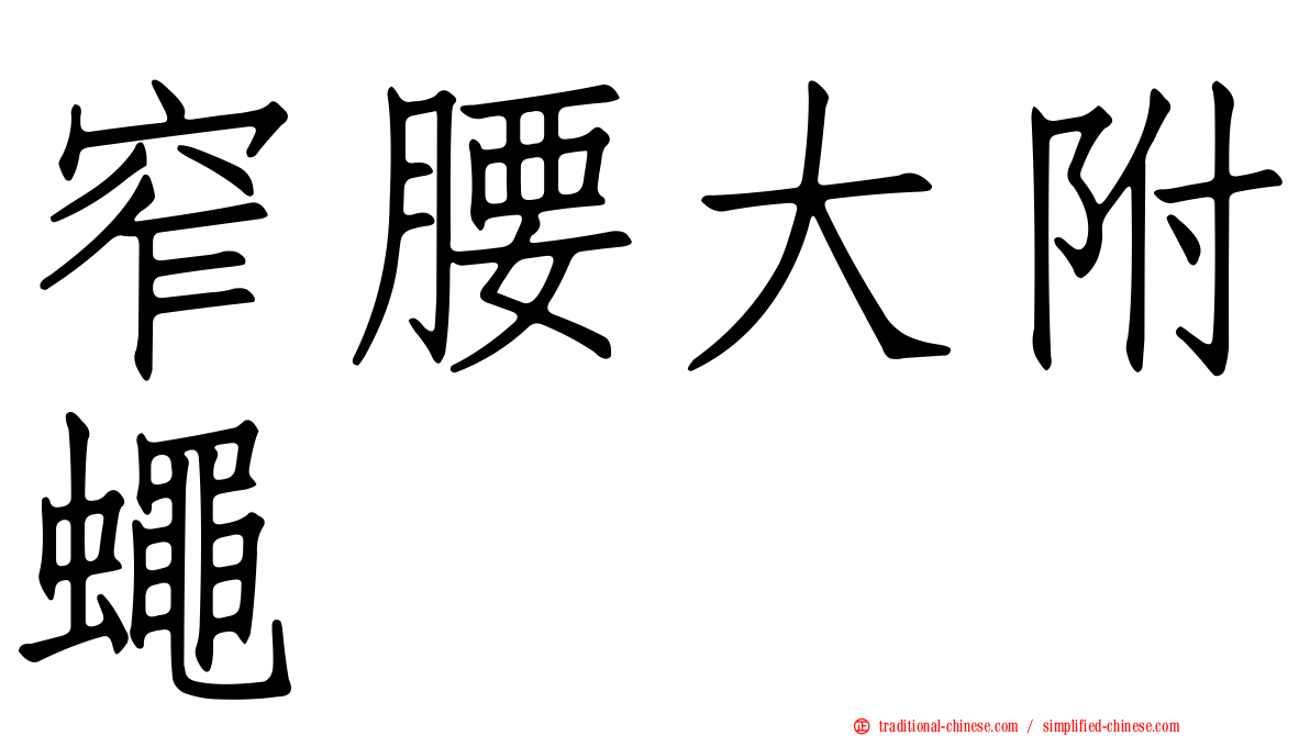 窄腰大附蠅