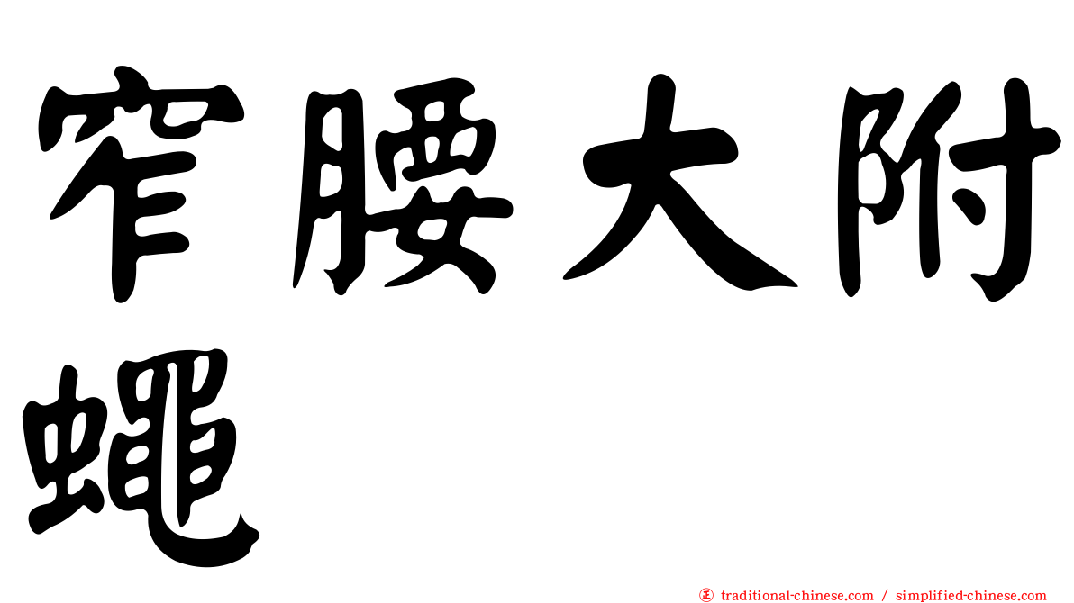 窄腰大附蠅