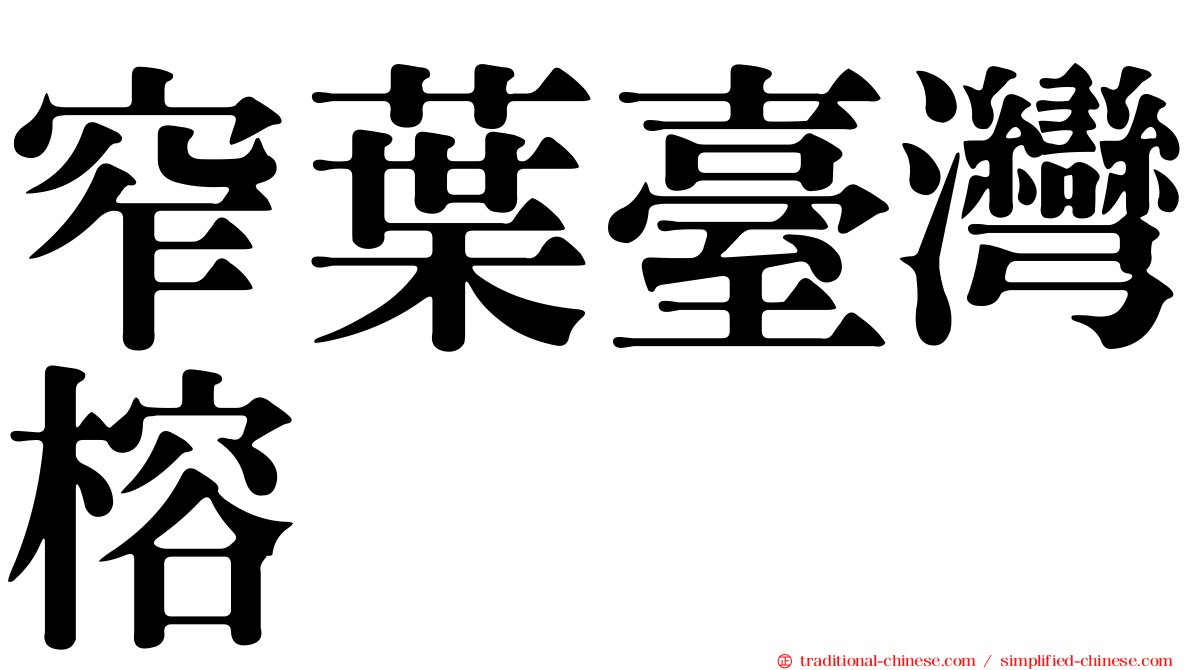 窄葉臺灣榕