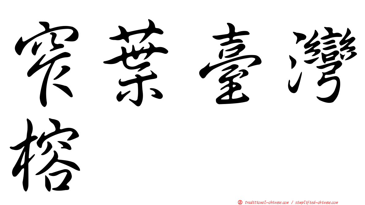 窄葉臺灣榕