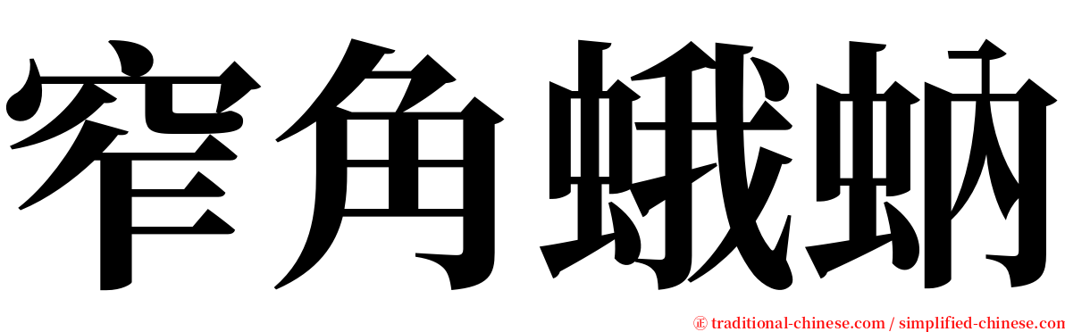 窄角蛾蚋 serif font