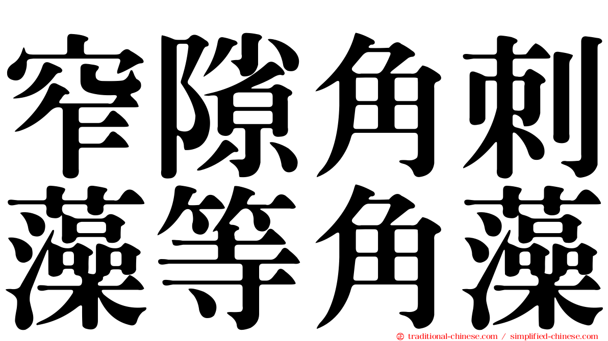 窄隙角刺藻等角藻