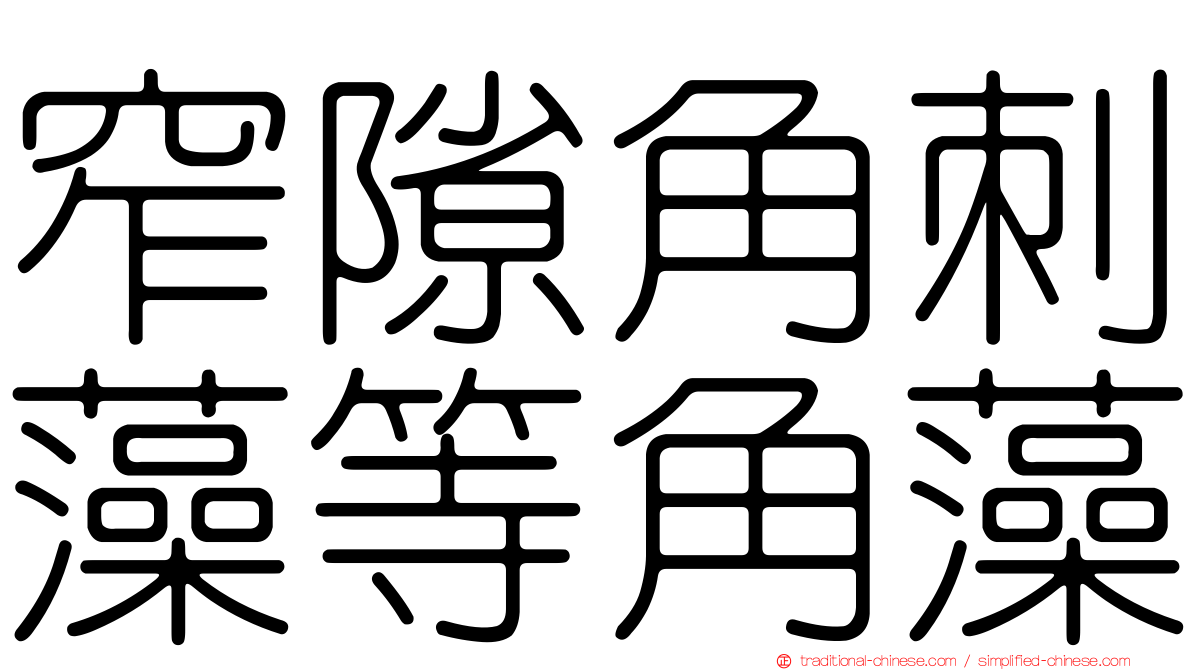 窄隙角刺藻等角藻