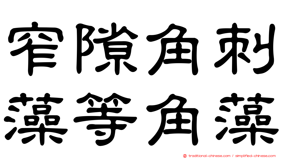 窄隙角刺藻等角藻