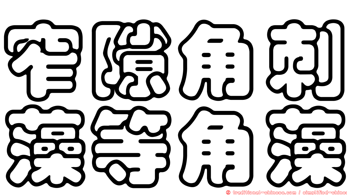 窄隙角刺藻等角藻