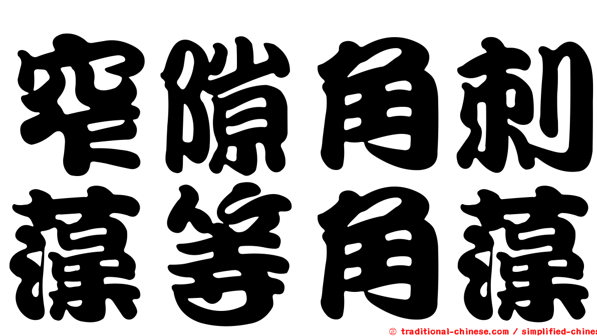 窄隙角刺藻等角藻