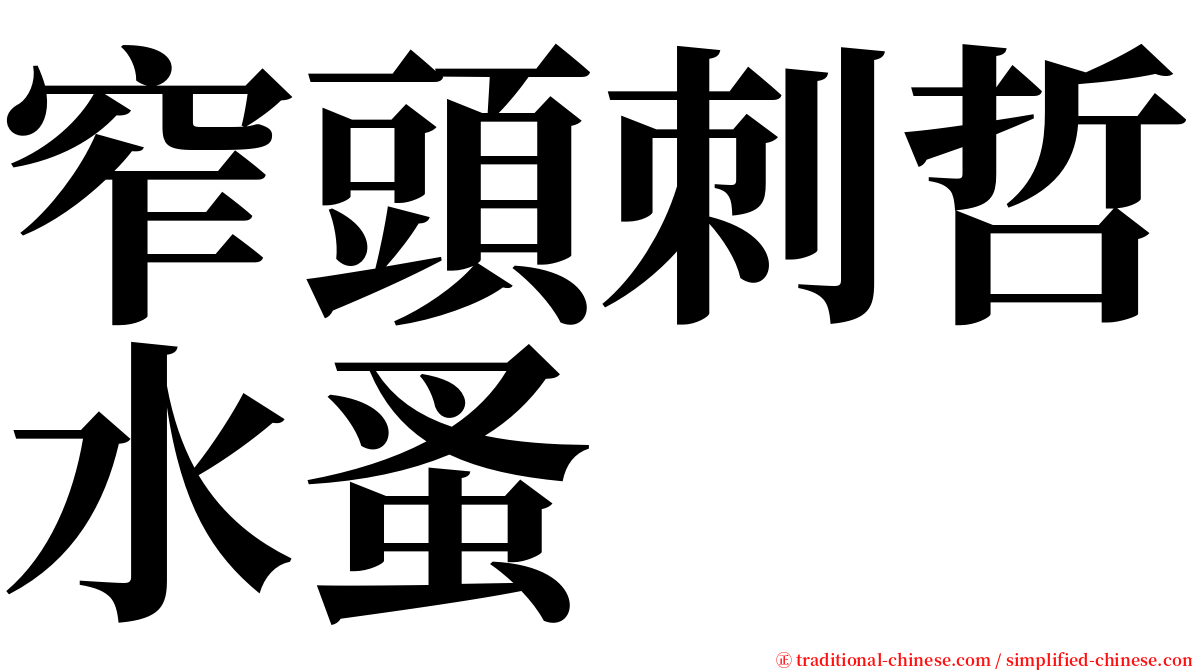 窄頭刺哲水蚤 serif font
