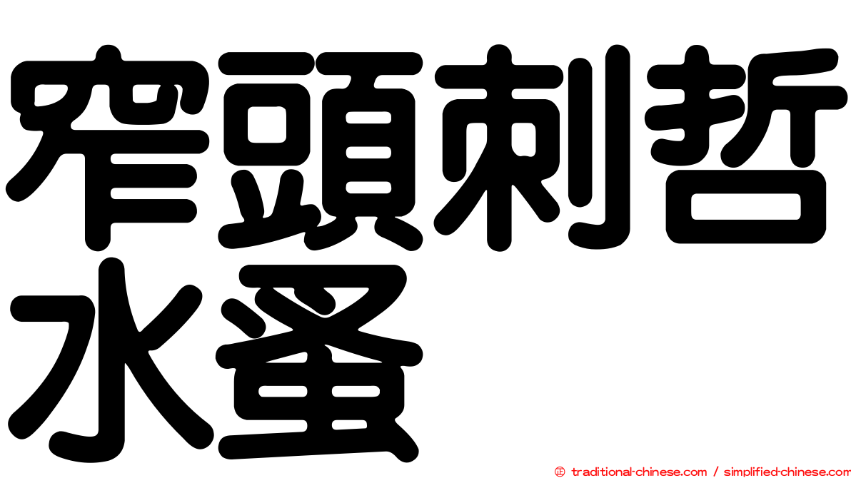 窄頭刺哲水蚤