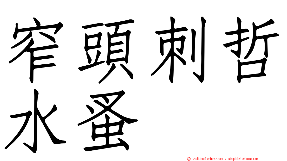 窄頭刺哲水蚤