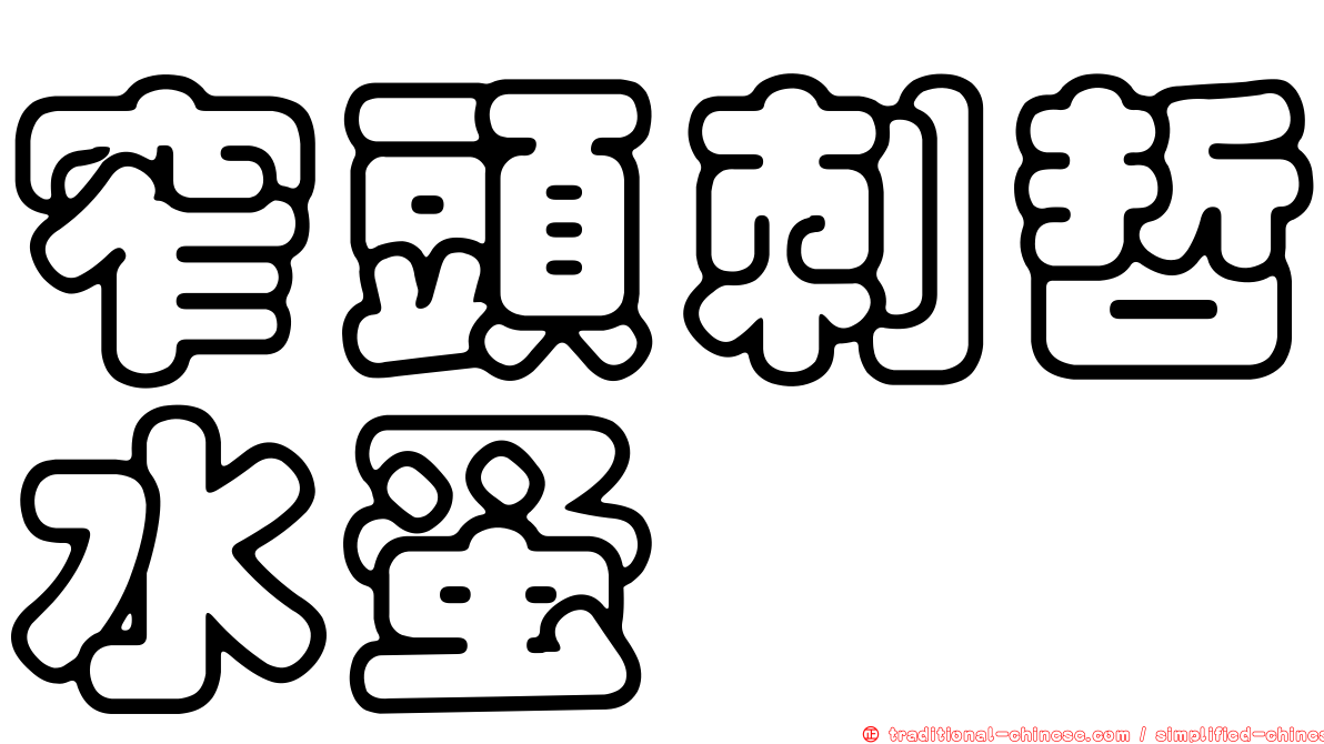 窄頭刺哲水蚤