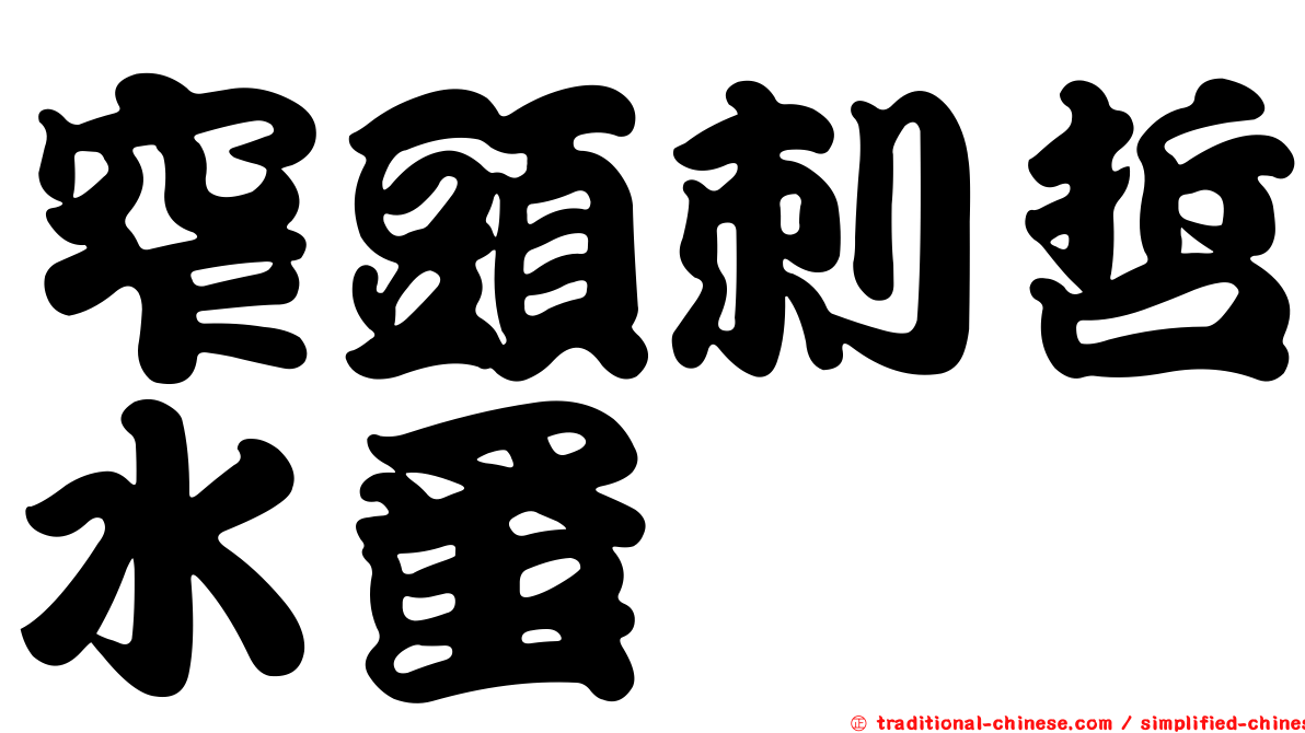 窄頭刺哲水蚤