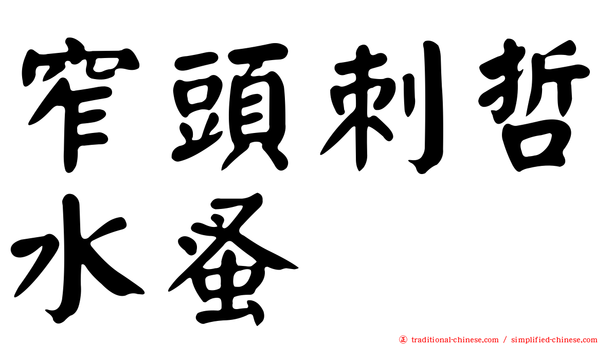 窄頭刺哲水蚤