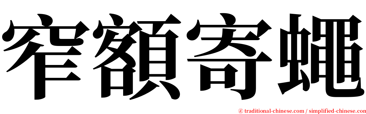 窄額寄蠅 serif font