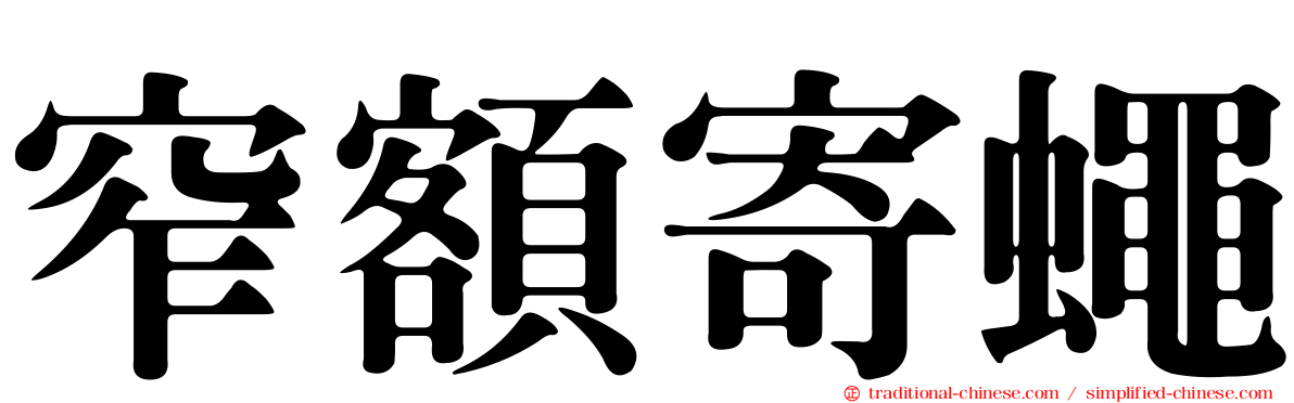 窄額寄蠅
