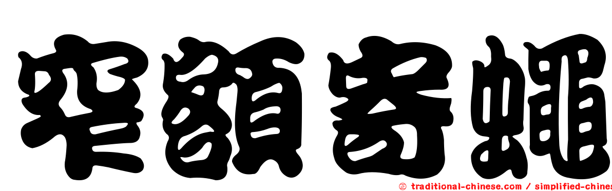 窄額寄蠅