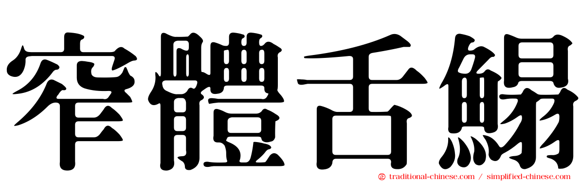 窄體舌鰨