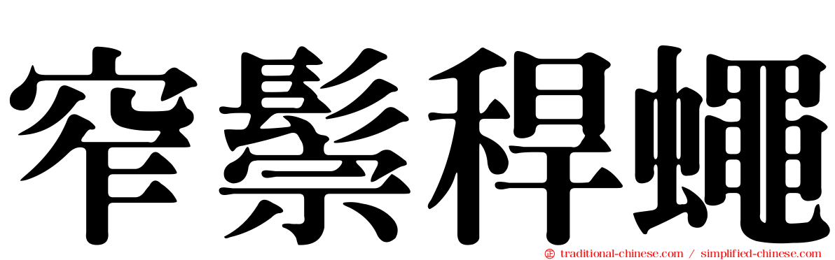 窄鬃稈蠅