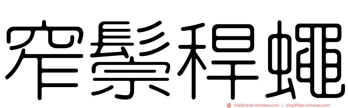 窄鬃稈蠅