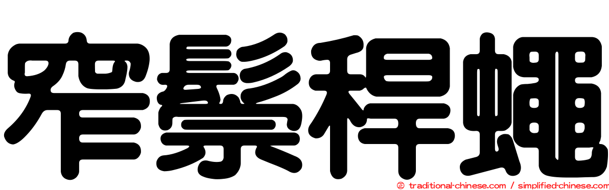 窄鬃稈蠅