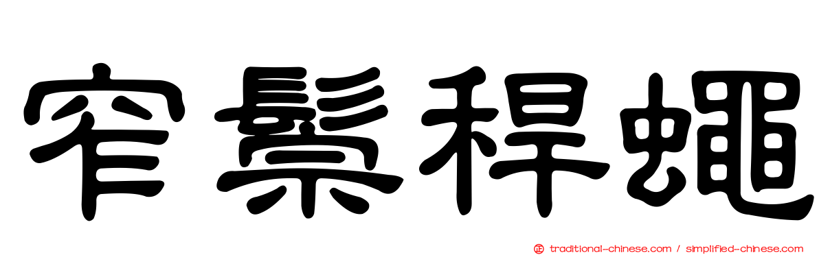 窄鬃稈蠅