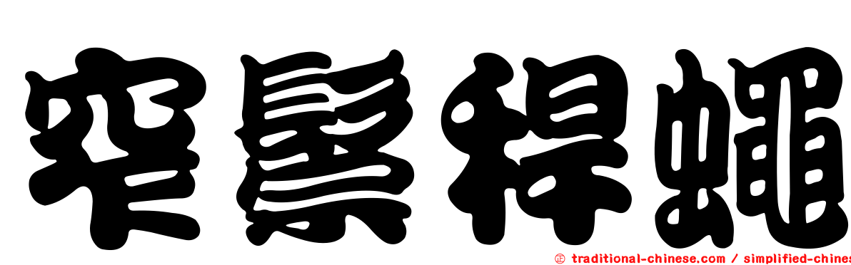 窄鬃稈蠅