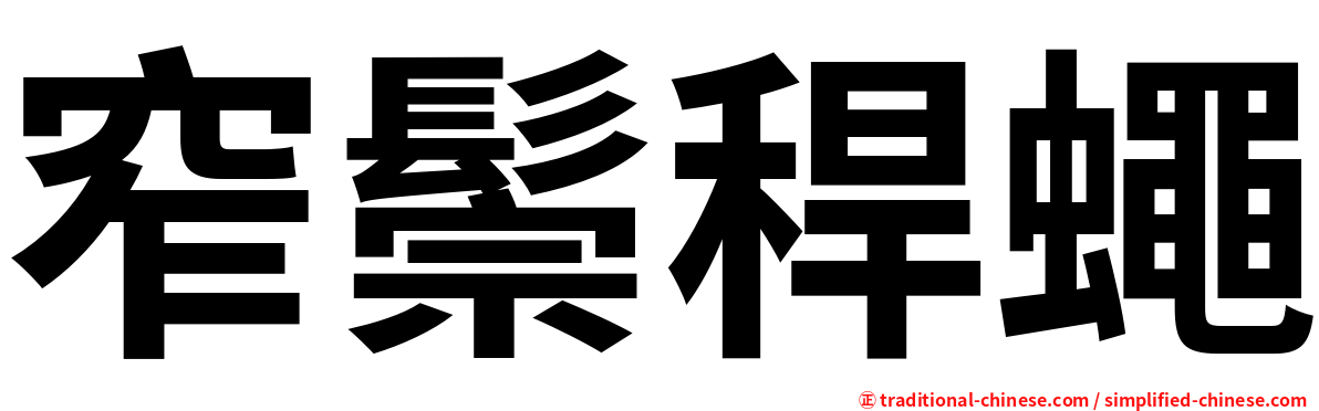窄鬃稈蠅