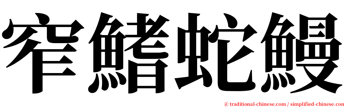 窄鰭蛇鰻 serif font