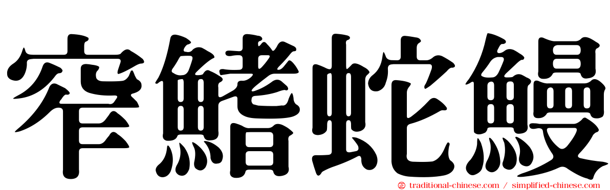 窄鰭蛇鰻