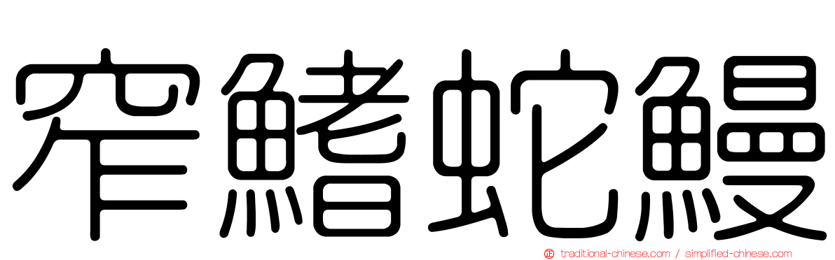 窄鰭蛇鰻