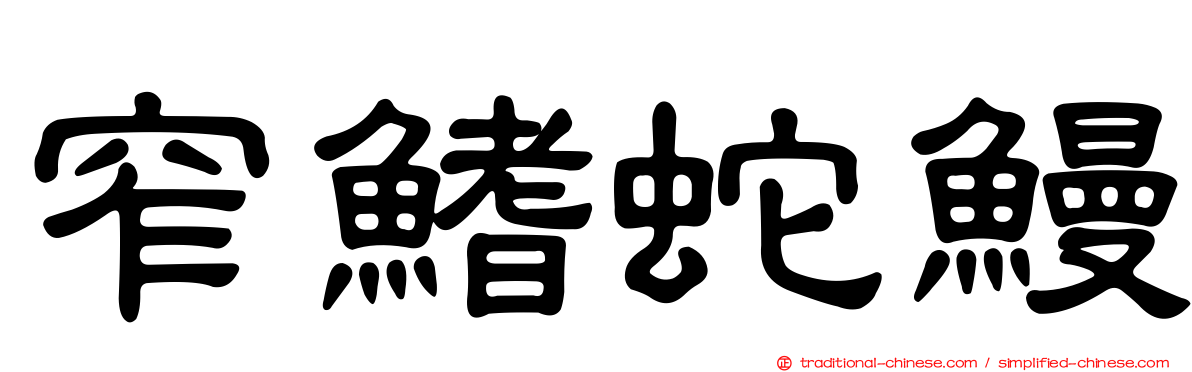 窄鰭蛇鰻