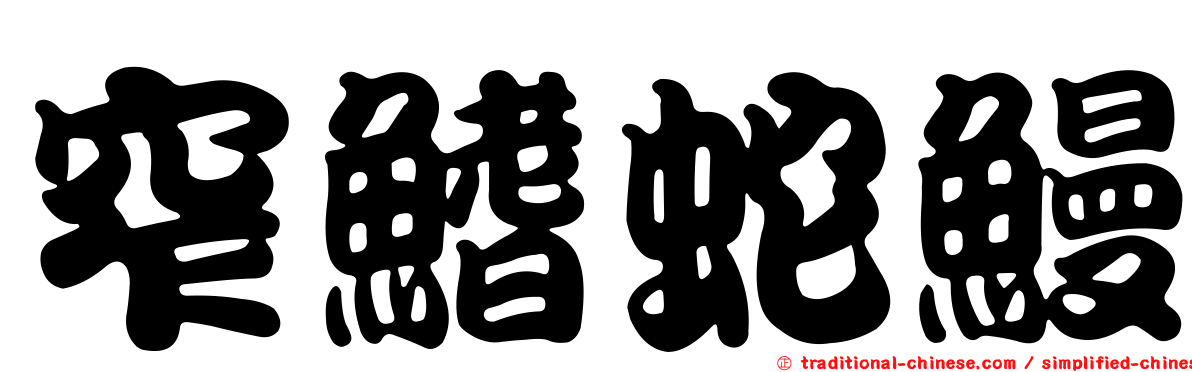 窄鰭蛇鰻