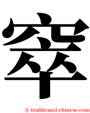 窣 serif font