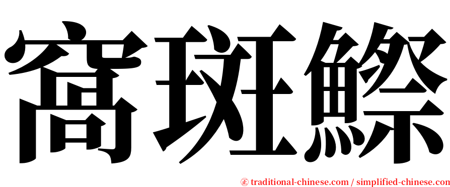 窩斑鰶 serif font
