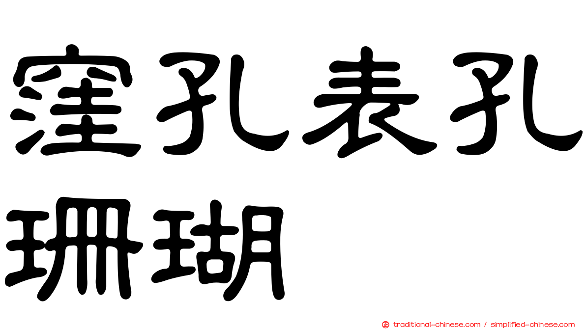 窪孔表孔珊瑚
