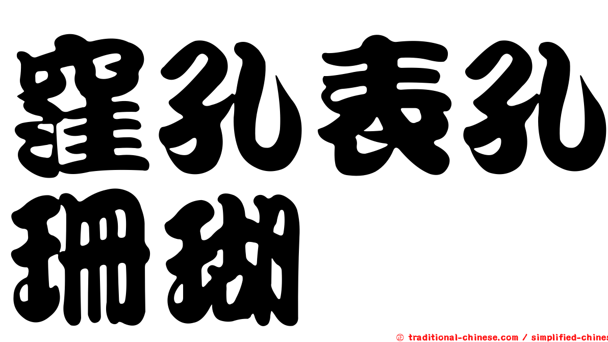 窪孔表孔珊瑚