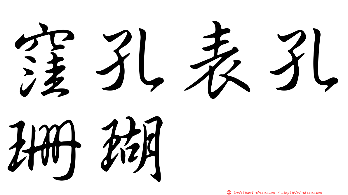 窪孔表孔珊瑚