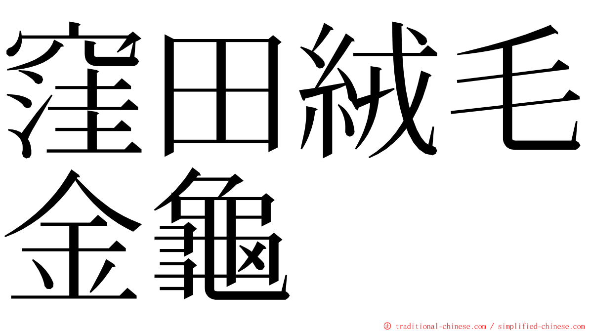 窪田絨毛金龜 ming font