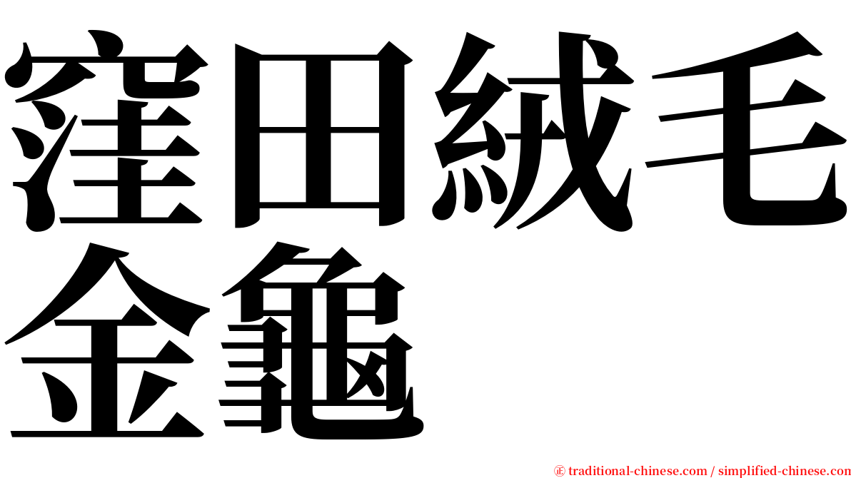 窪田絨毛金龜 serif font