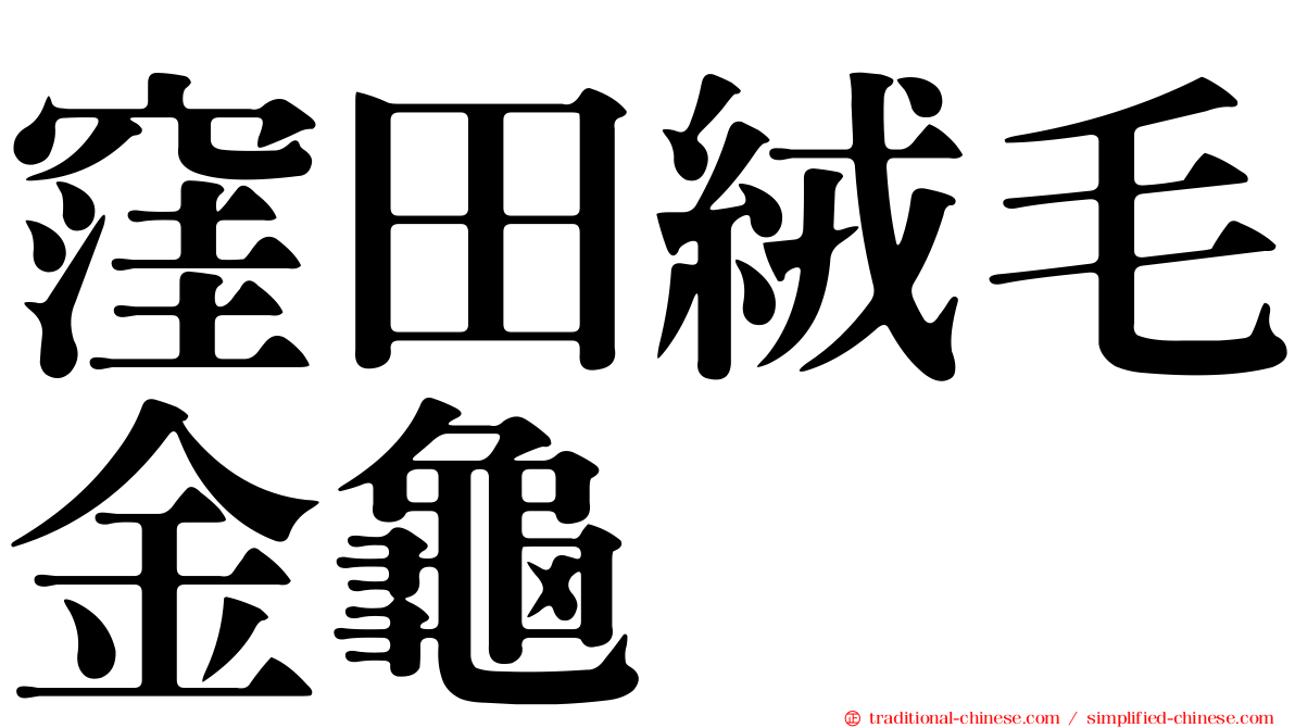 窪田絨毛金龜