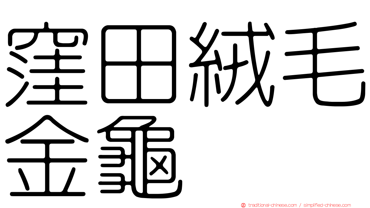 窪田絨毛金龜