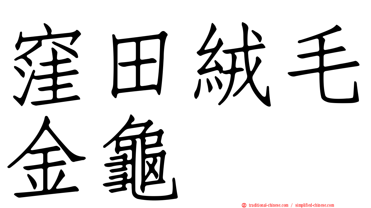 窪田絨毛金龜
