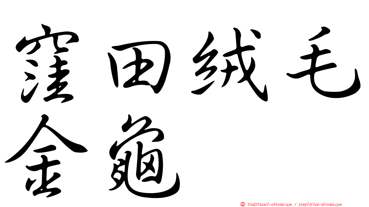 窪田絨毛金龜