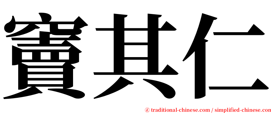 竇其仁 serif font