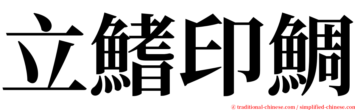 立鰭印鯛 serif font